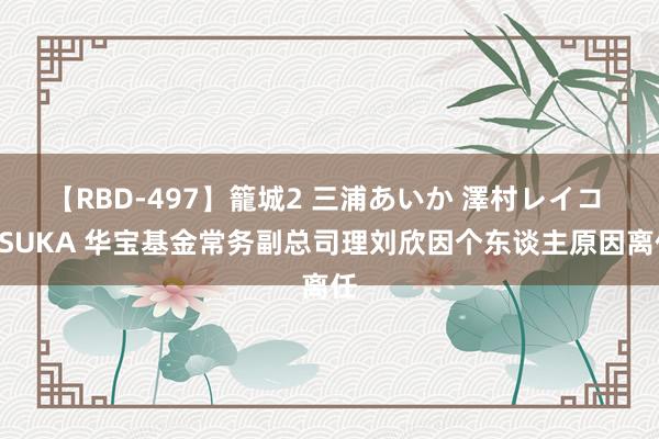 【RBD-497】籠城2 三浦あいか 澤村レイコ ASUKA 华宝基金常务副总司理刘欣因个东谈主原因离任