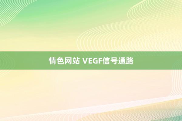 情色网站 VEGF信号通路