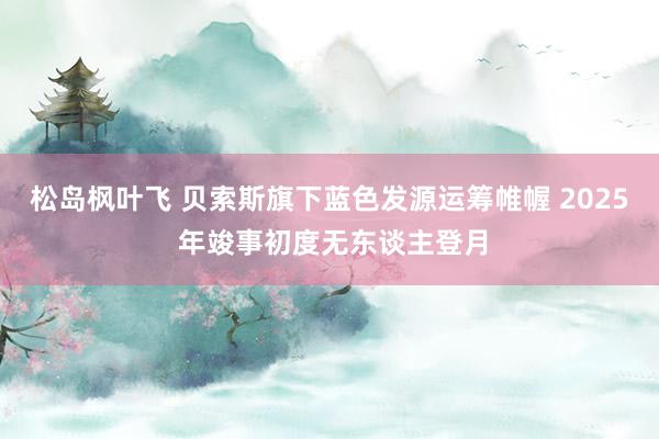 松岛枫叶飞 贝索斯旗下蓝色发源运筹帷幄 2025 年竣事初度无东谈主登月