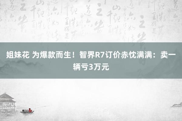 姐妹花 为爆款而生！智界R7订价赤忱满满：卖一辆亏3万元